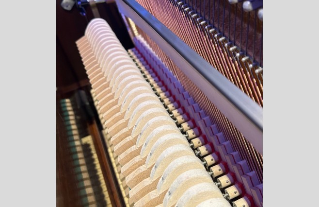 Used Reid Sohn Polished Rosewood RS115 Upright Piano - All Inclusive Premium Package (SN:IJJI00394) - Image 8